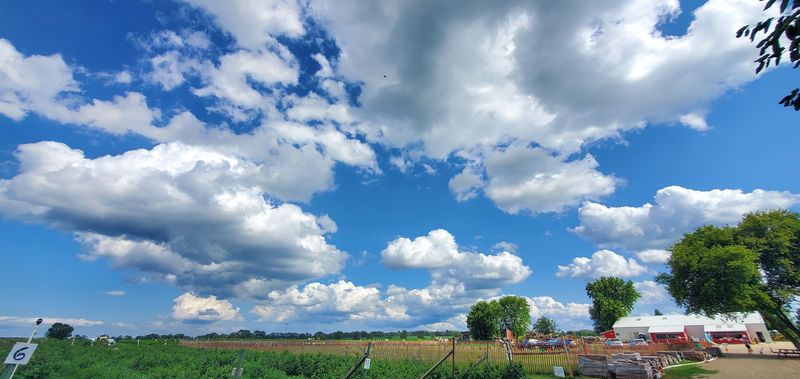 Why The Drive To Woodstock Is Worth Every Mile