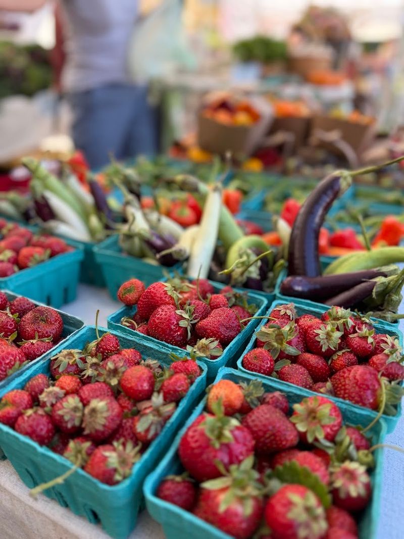Planning Your Visit To Wallingford