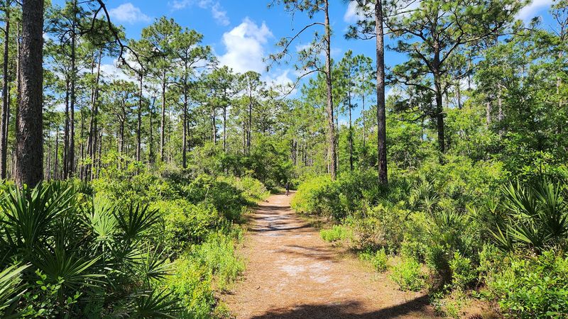 Recreational Activities Available In The Area