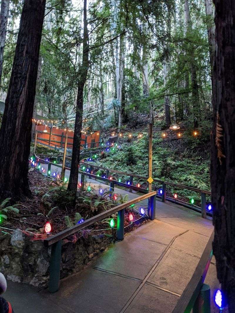 The Mystery Spot, Santa Cruz