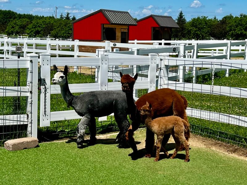The Farm Is Open Through Every Season