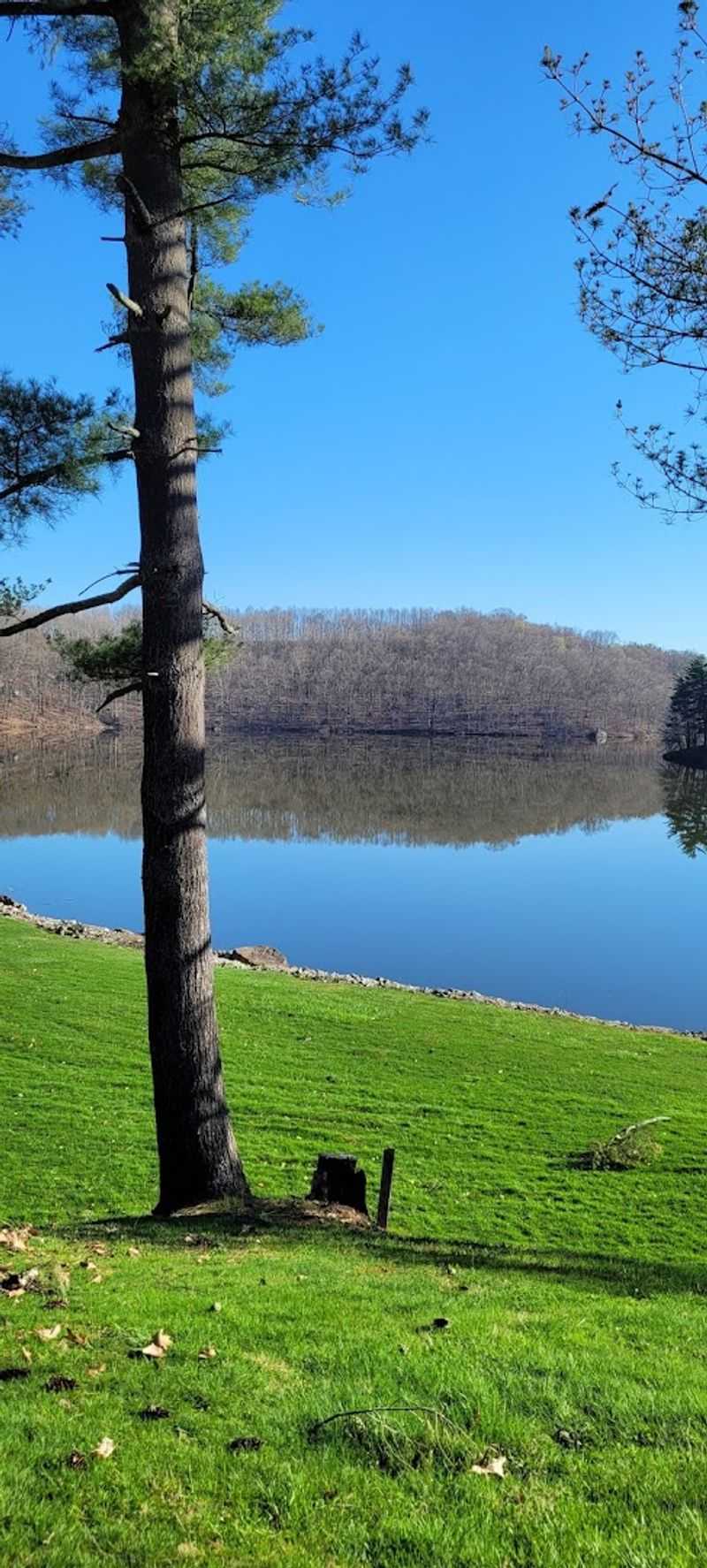 Wildlife Viewing Opportunities Around The Lake