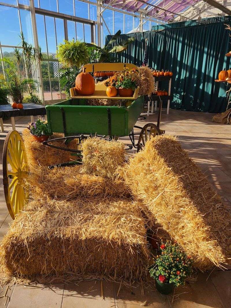 Fall Fun Beyond The Garden Center
