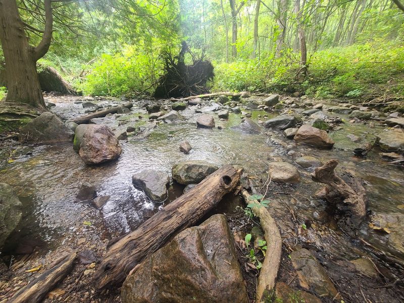 The 2008 And 2010 Floods Changed The Trail Forever