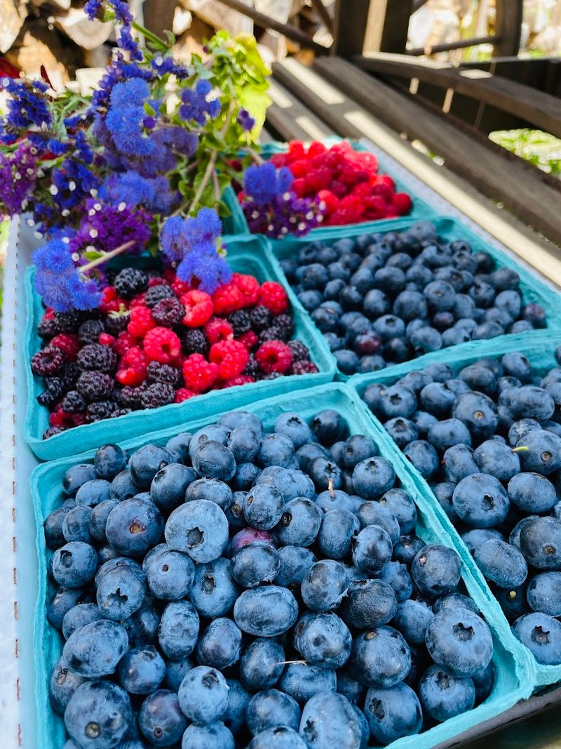 The CSA Program And Year-Round Community Connection
