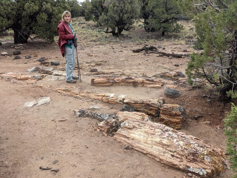 Escalante Petrified Forest State Park