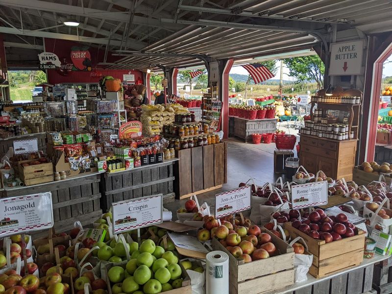 Fresh Produce Straight From Local Farms