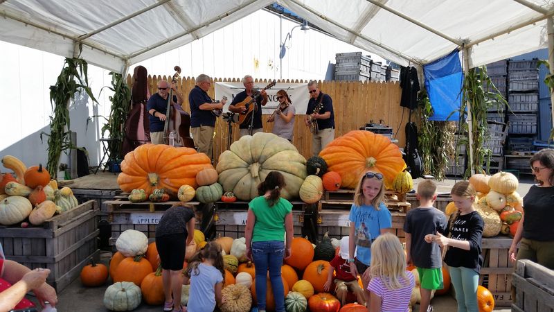 Fall Harvest Festivals That Pull The Whole Region In