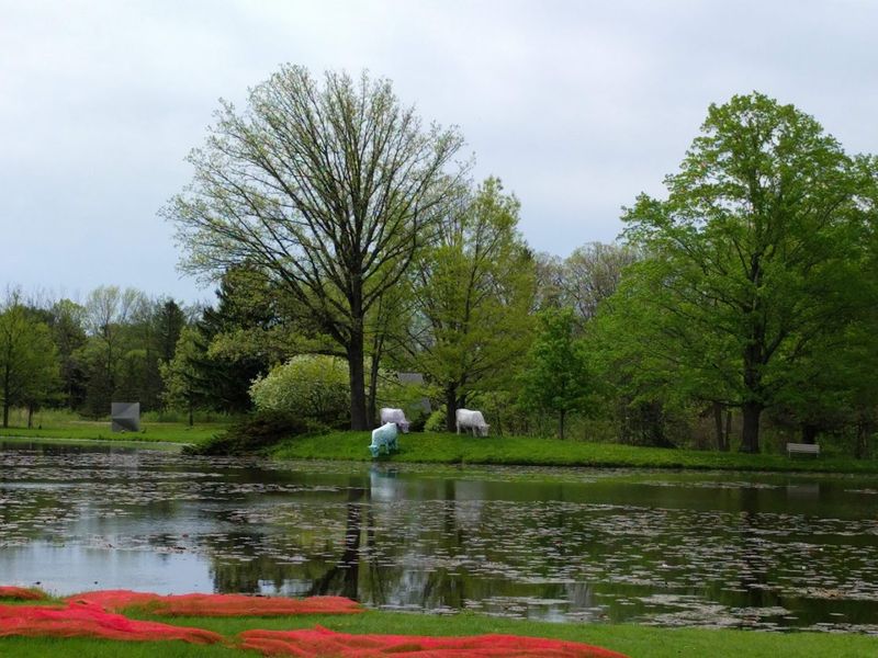 The Setting Includes Parkland, Lake, And Woodland