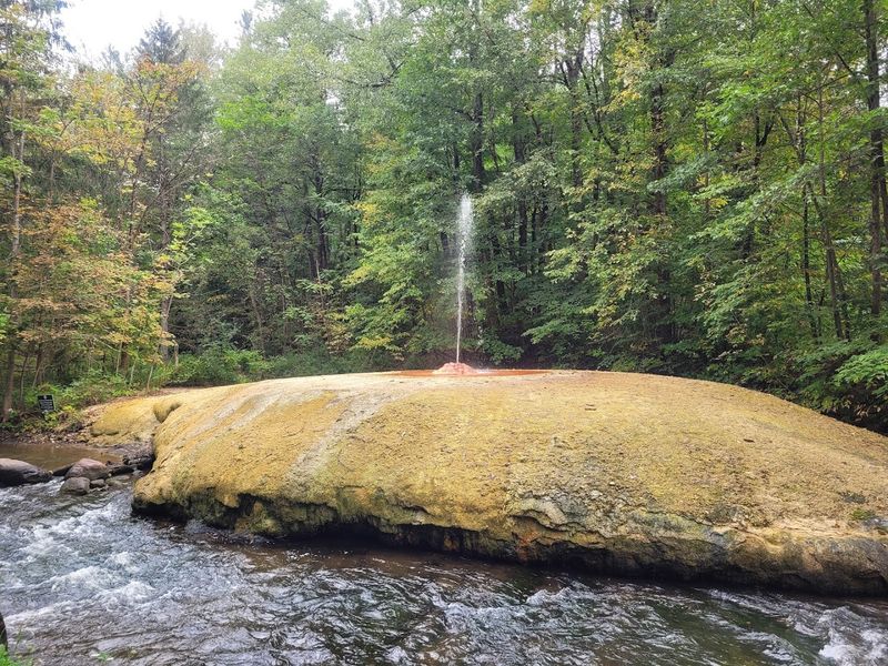 Geyser Trail At Saratoga Spa State Park