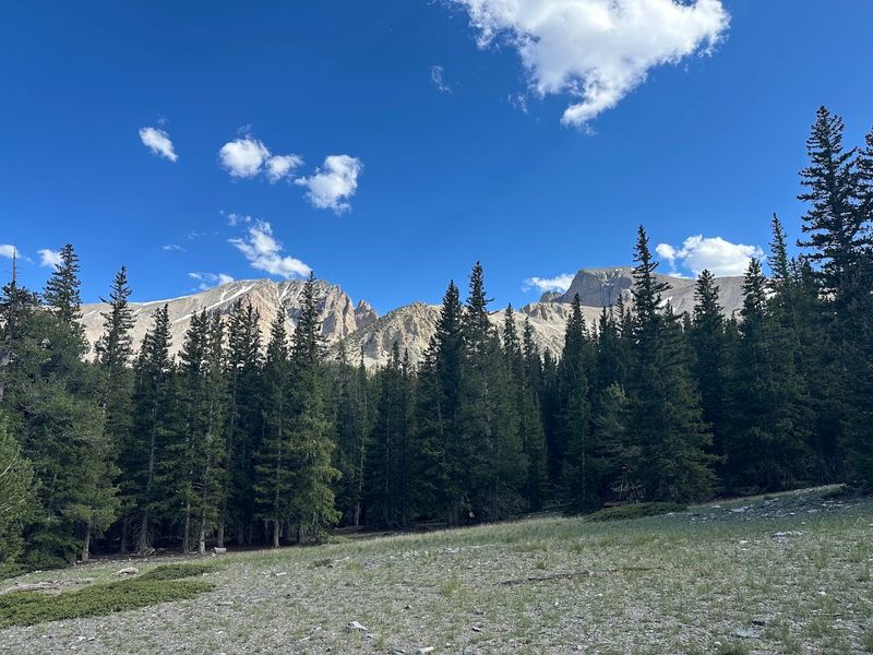Wheeler Peak Rises Above The Campground
