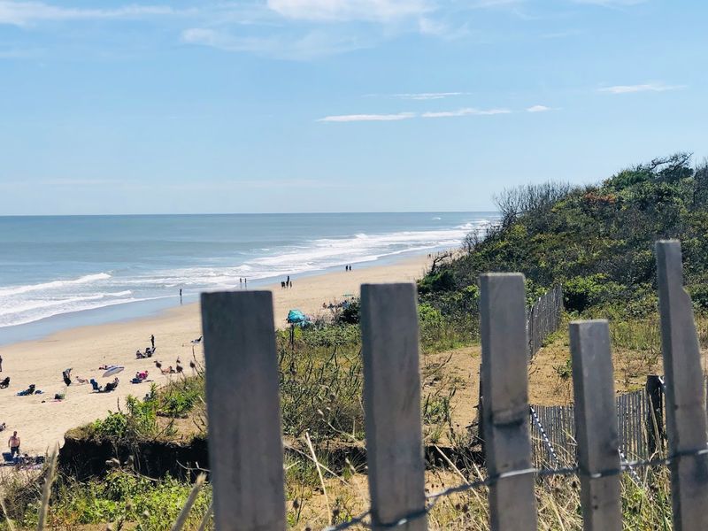 Seal Sightings That Turn An Ordinary Beach Day Into Something Memorable