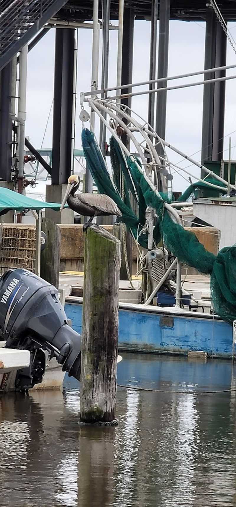 September: Biloxi Seafood Festival