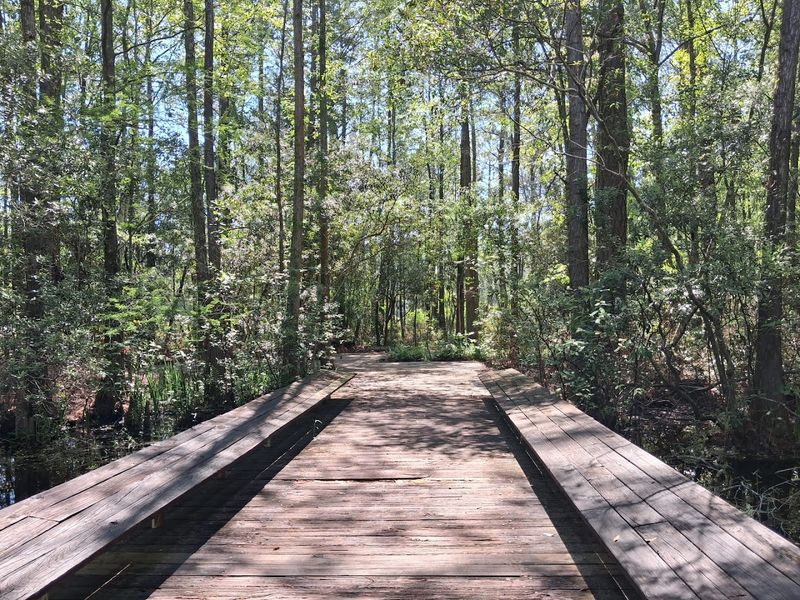 Over 700 Acres Of Protected Mississippi Landscape