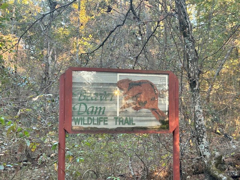 Beaver Dam Trail, Noxubee National Wildlife Refuge