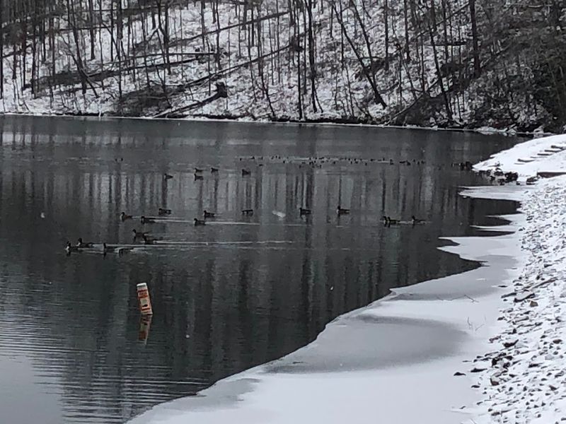Winter Trout Stocking Turns This Lake Into A Cold-Weather Destination