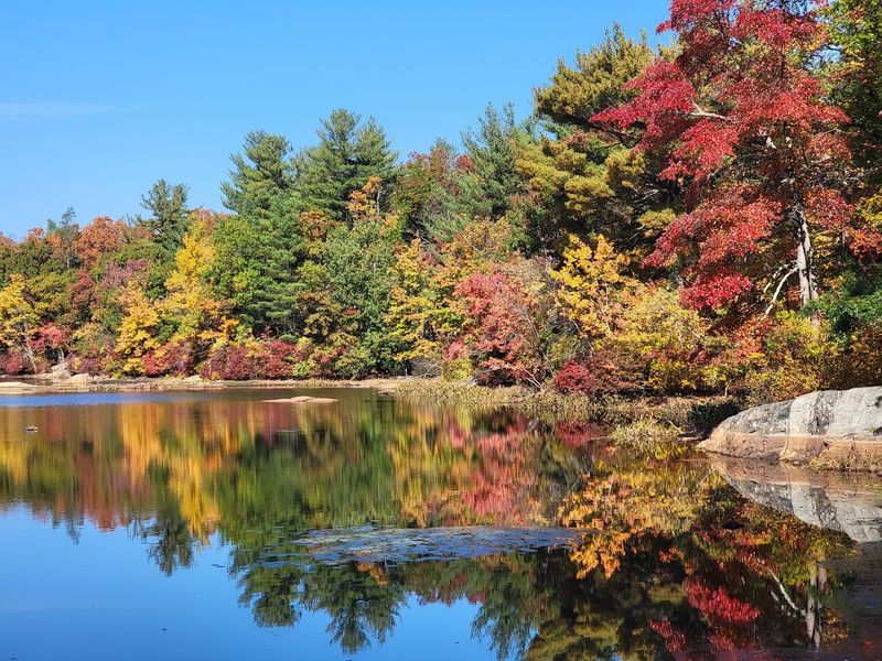 Year-Round Access Means Every Season Has Something Worth Seeing