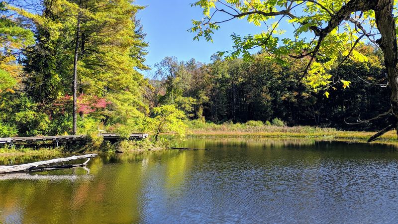 Mass Audubon's Pleasant Valley Wildlife Sanctuary, Lenox (Berkshires)