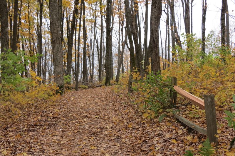 The Park Feels Quiet Compared To Bigger Wisconsin Destinations