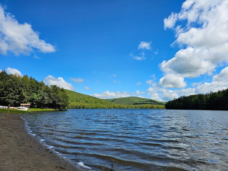 Mongaup Pond