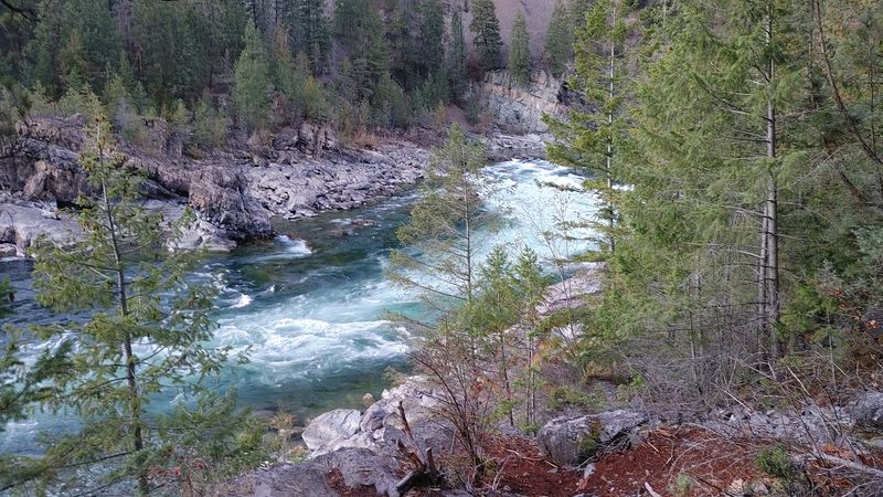 Exploring The Local Wildlife And Plant Life