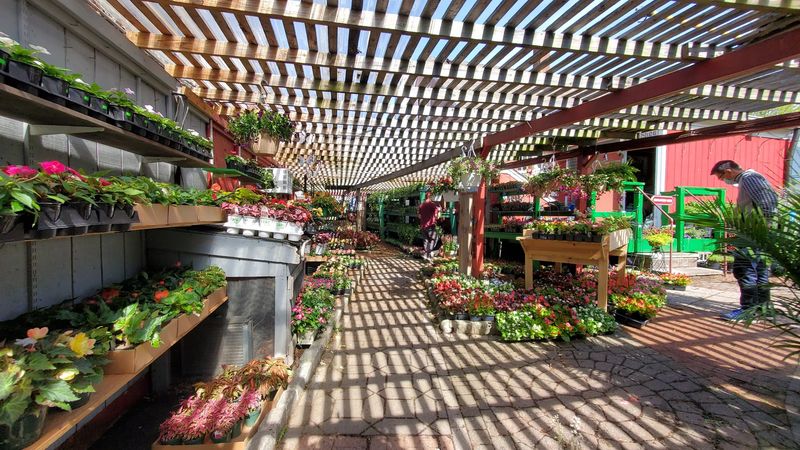 Ways To Incorporate Fresh Produce Into Daily Meals