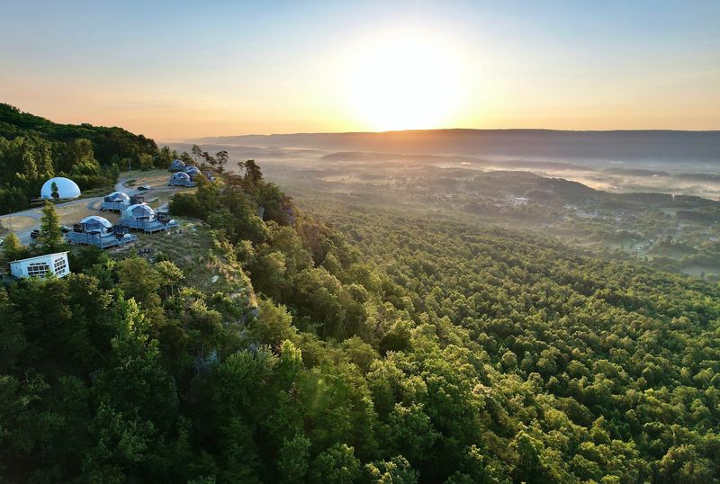 Seasonal Changes Impacting Forest Stay Experiences