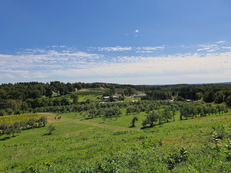A Farm With More Than A Century Of Roots
