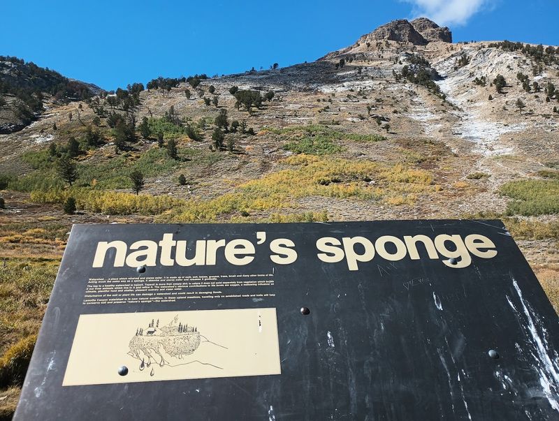 Outdoor Activities Suitable For All Ages