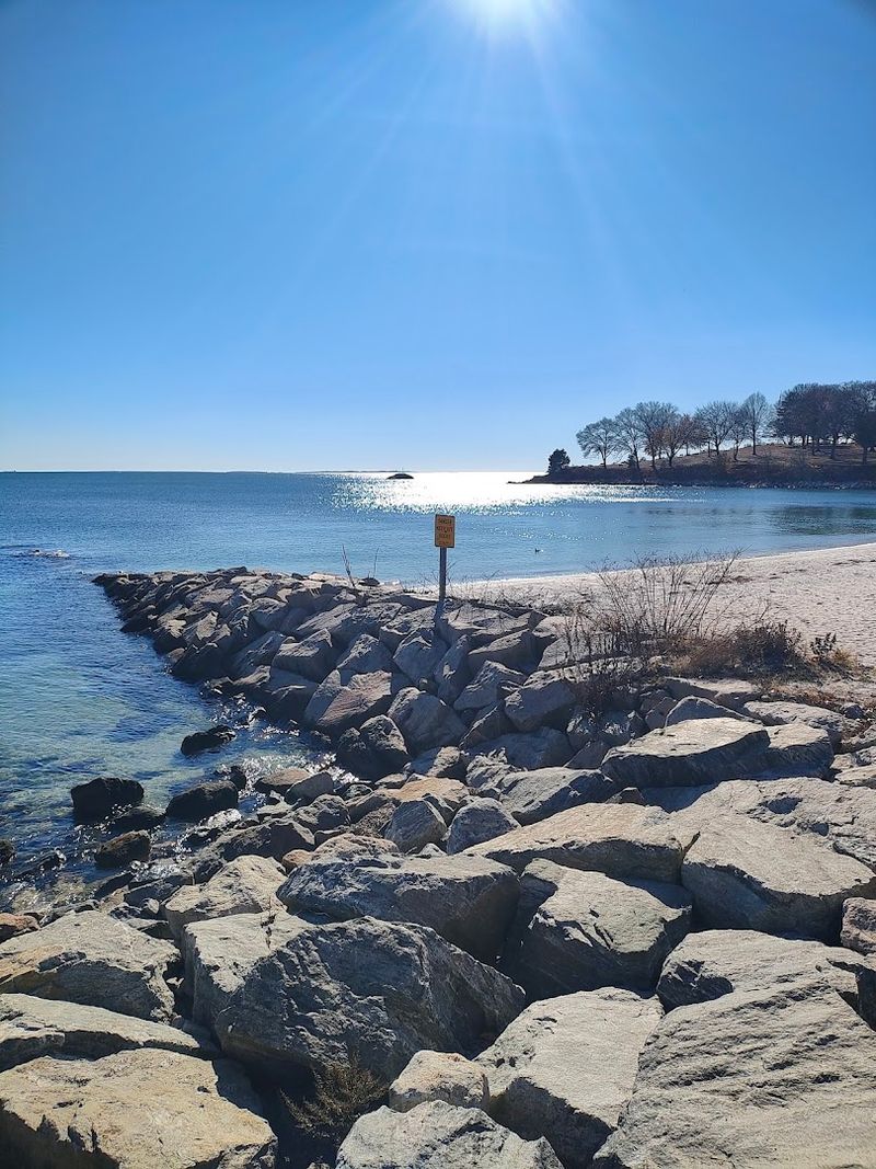 Environmental Conservation Efforts For Coastal Areas