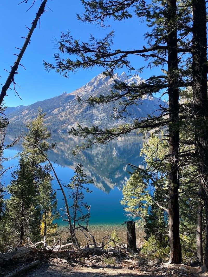 Nearby Hiking Trails With Scenic Views