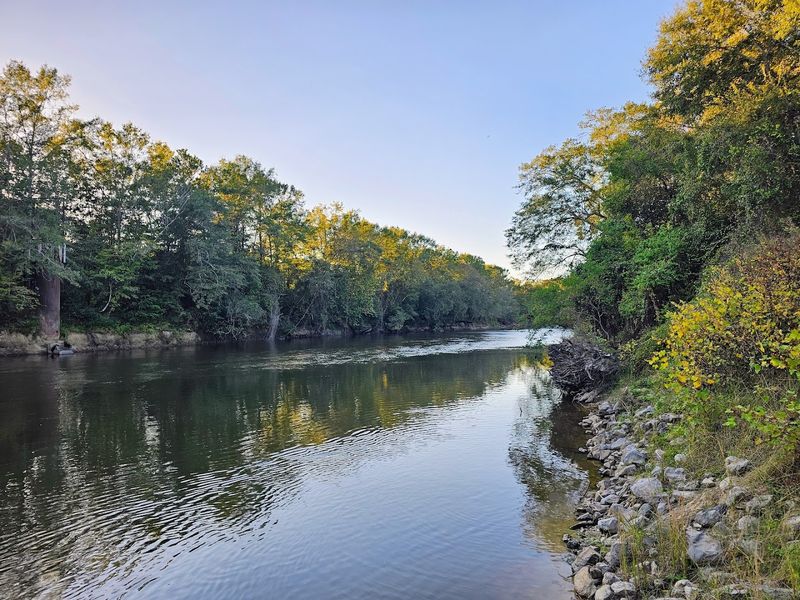 Petal River Park MTB Trail