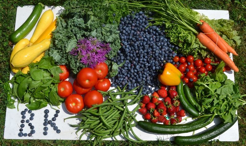 The Farm Store Is A Destination All On Its Own