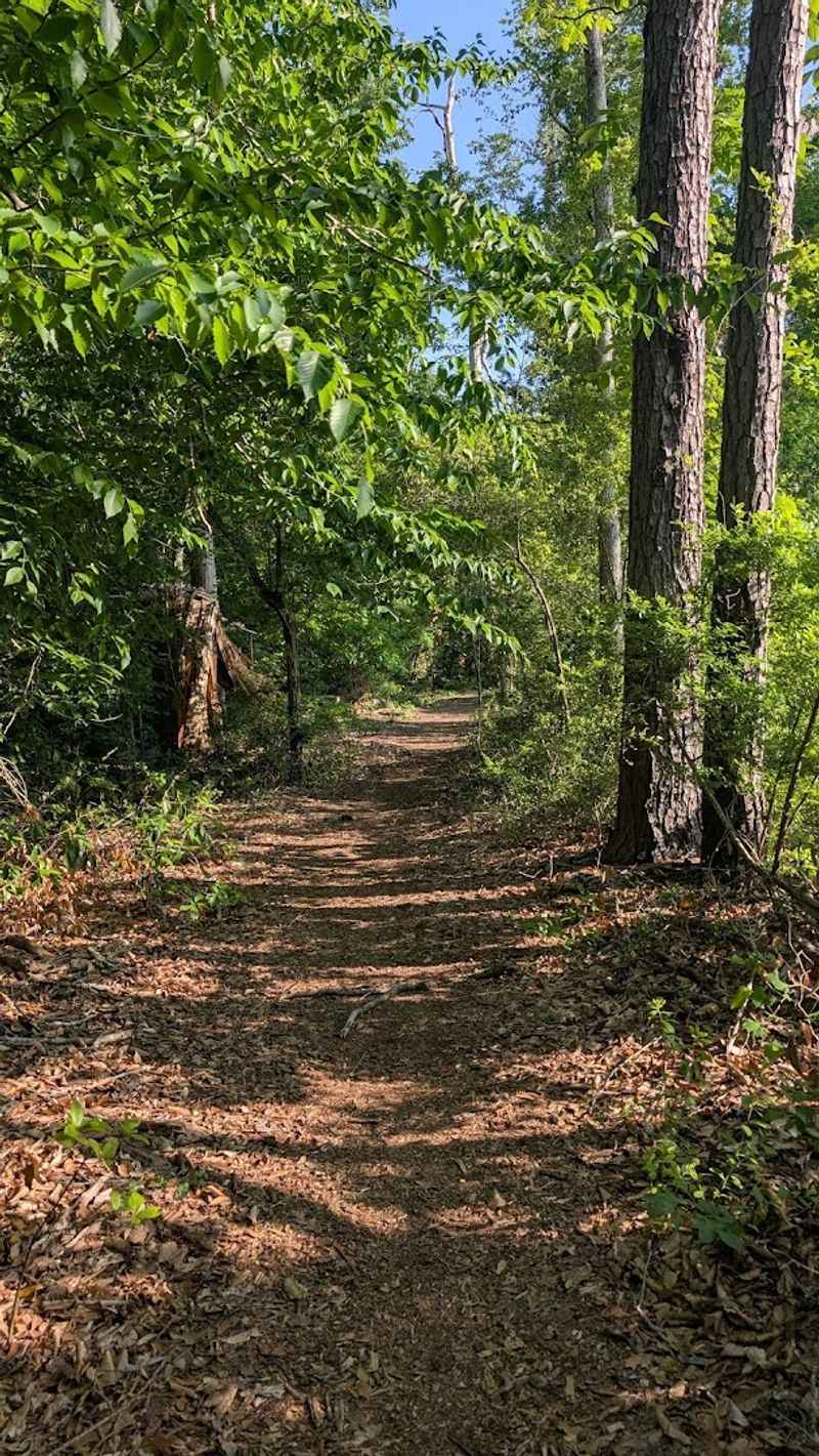 Trails That Cover Every Skill Level