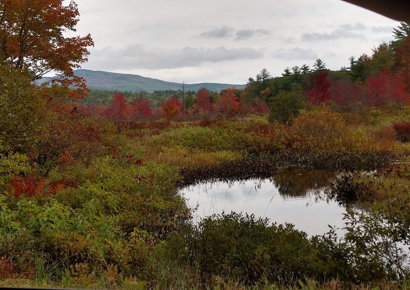 Flora Diversity Highlighting Seasonal Changes