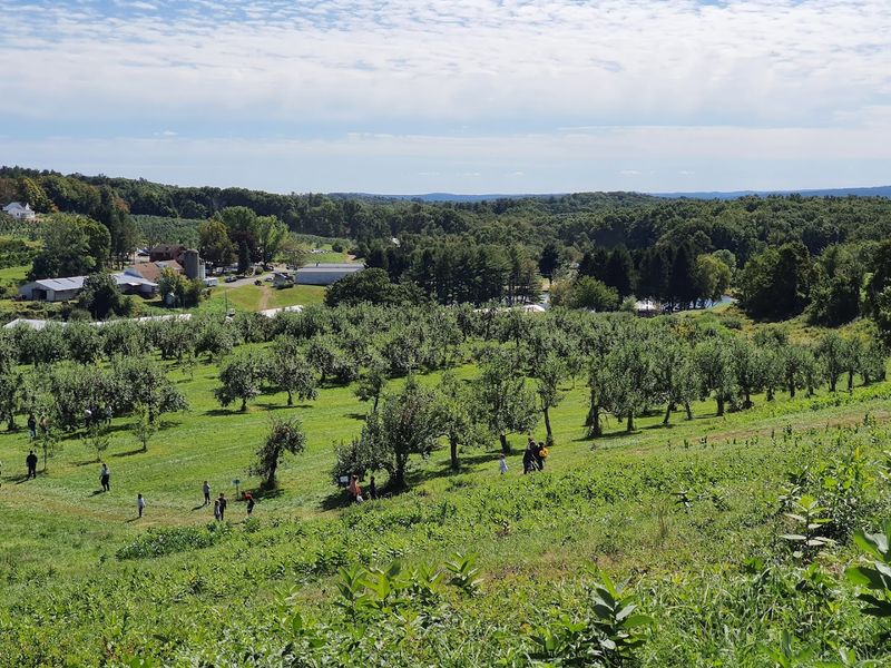 The Hilltop View That Makes Every Visit Feel Special