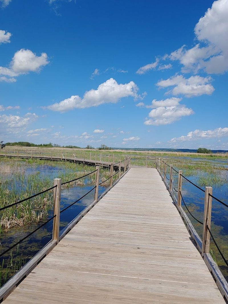 Horicon Marsh, Horicon