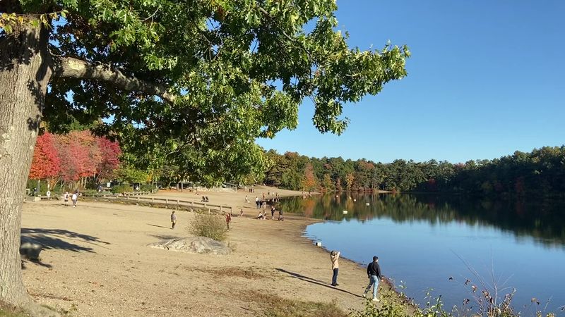 Blue Hills Reservation, Milton