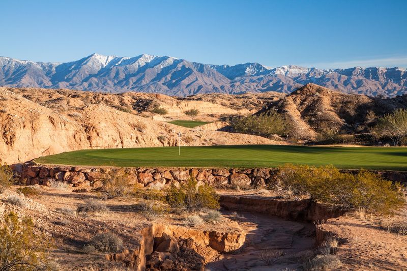 Mesquite