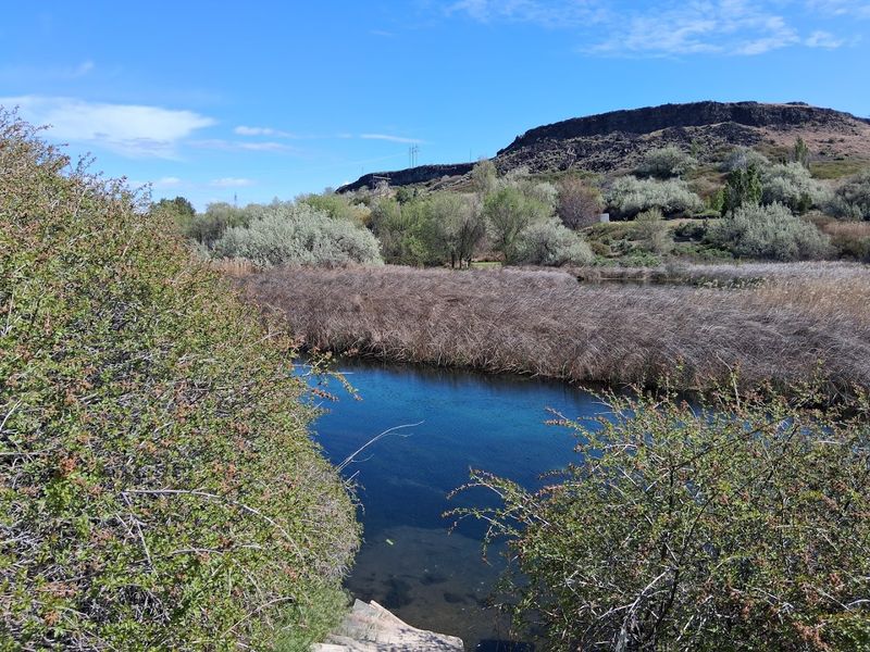 Thousand Springs State Park