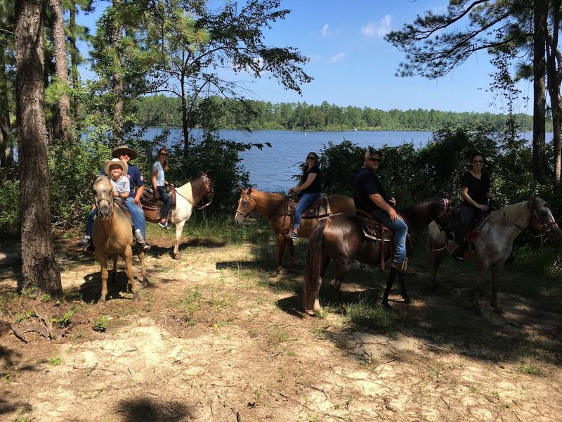 Horserideforfun.com