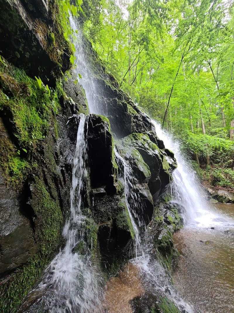Spruce Flats Falls And The Loop Option Worth Considering