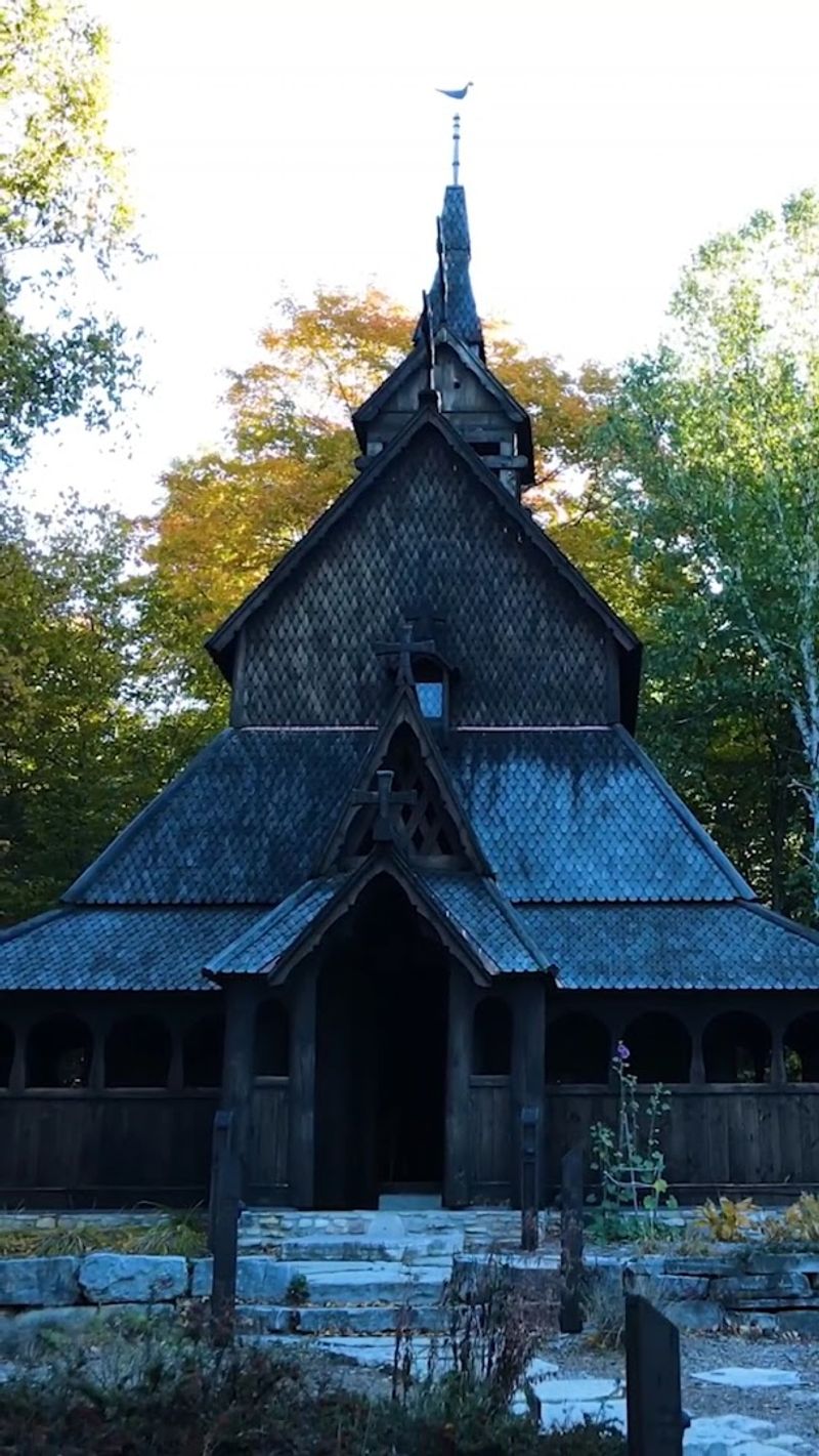 Set In A Quiet Forest Grove