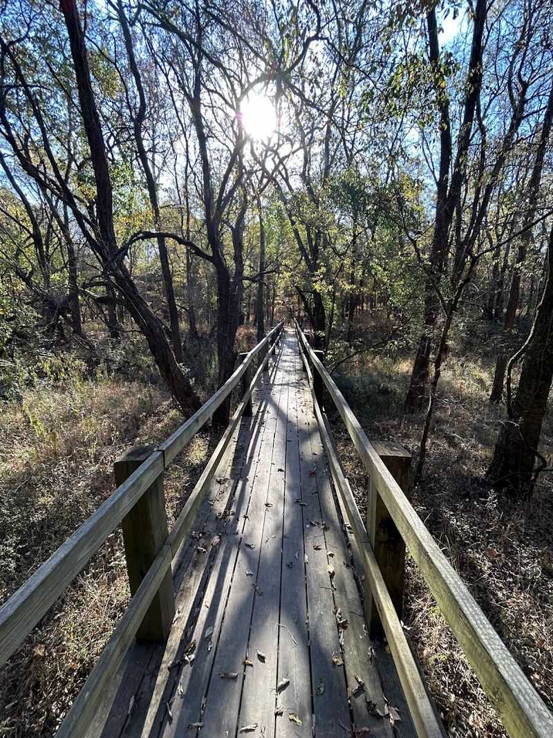 Hiking Trails That Reward The Curious And The Patient