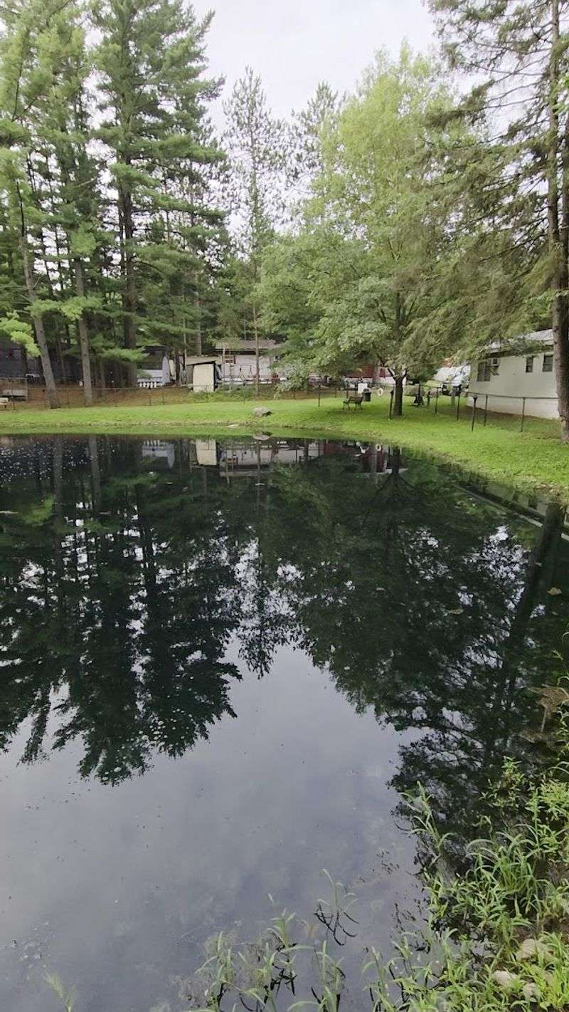 Chippy's Pond Adds A Quiet Fishing Break