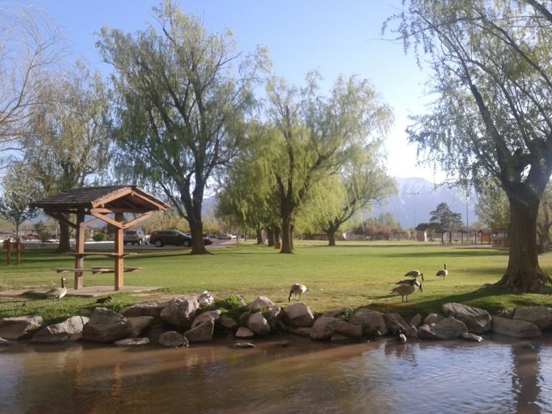 Gardnerville