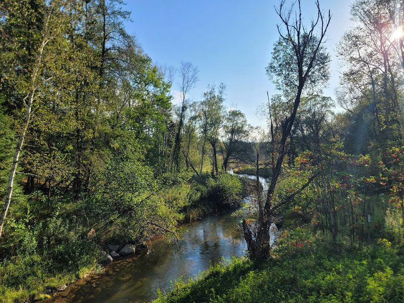 Wildlife Sightings Add Excitement To Every Season