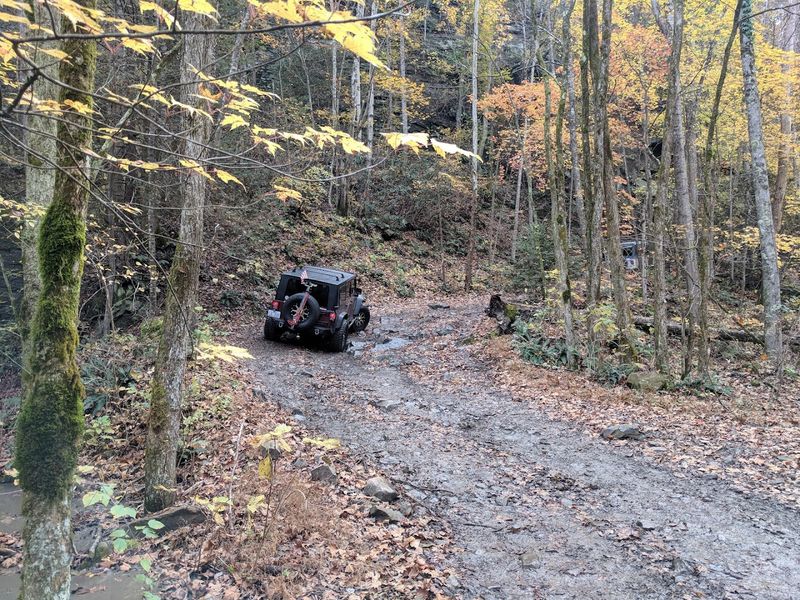 The Cumberland Plateau Terrain Makes Every Walk An Education
