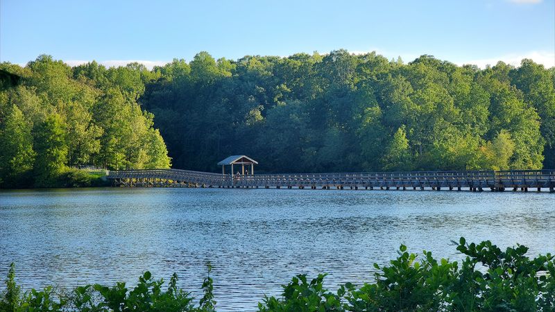 The Boardwalk And Bridge Walk Around The Lake