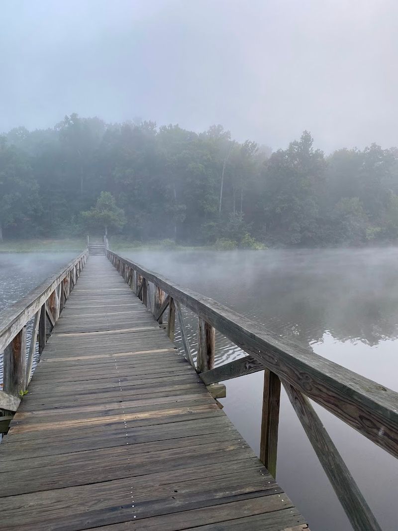 Wildlife And Birding Make Every Walk More Interesting